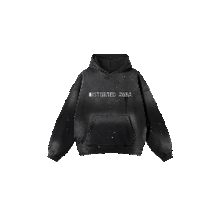 Load image into Gallery viewer, H≠V2