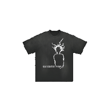 Load image into Gallery viewer, T≠V4
