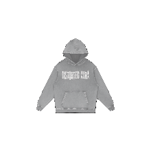 Load image into Gallery viewer, H≠V1
